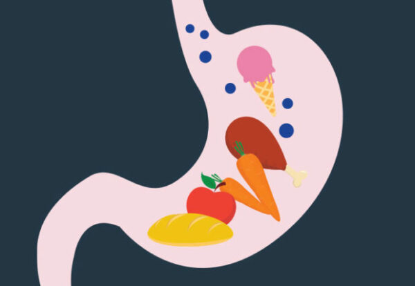 digestFoods-1148808945-770x533-1-650x428
